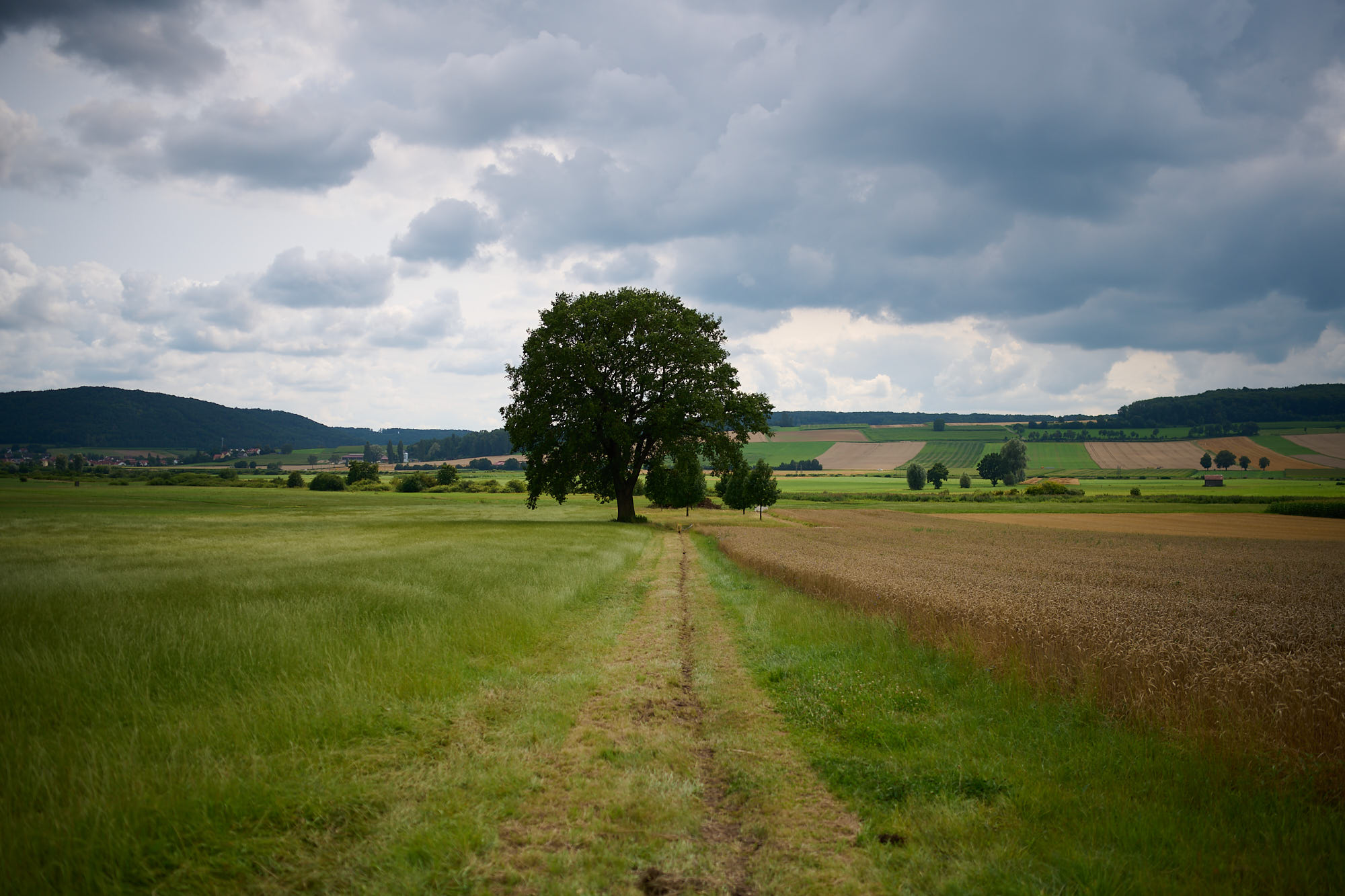 Verdichtung der Trasse zum Abschluss